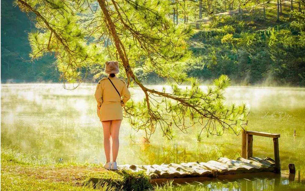 thung-lung-vang-da-lat