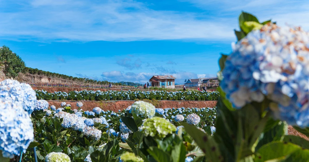 dia-diem-du-lich-da-lat