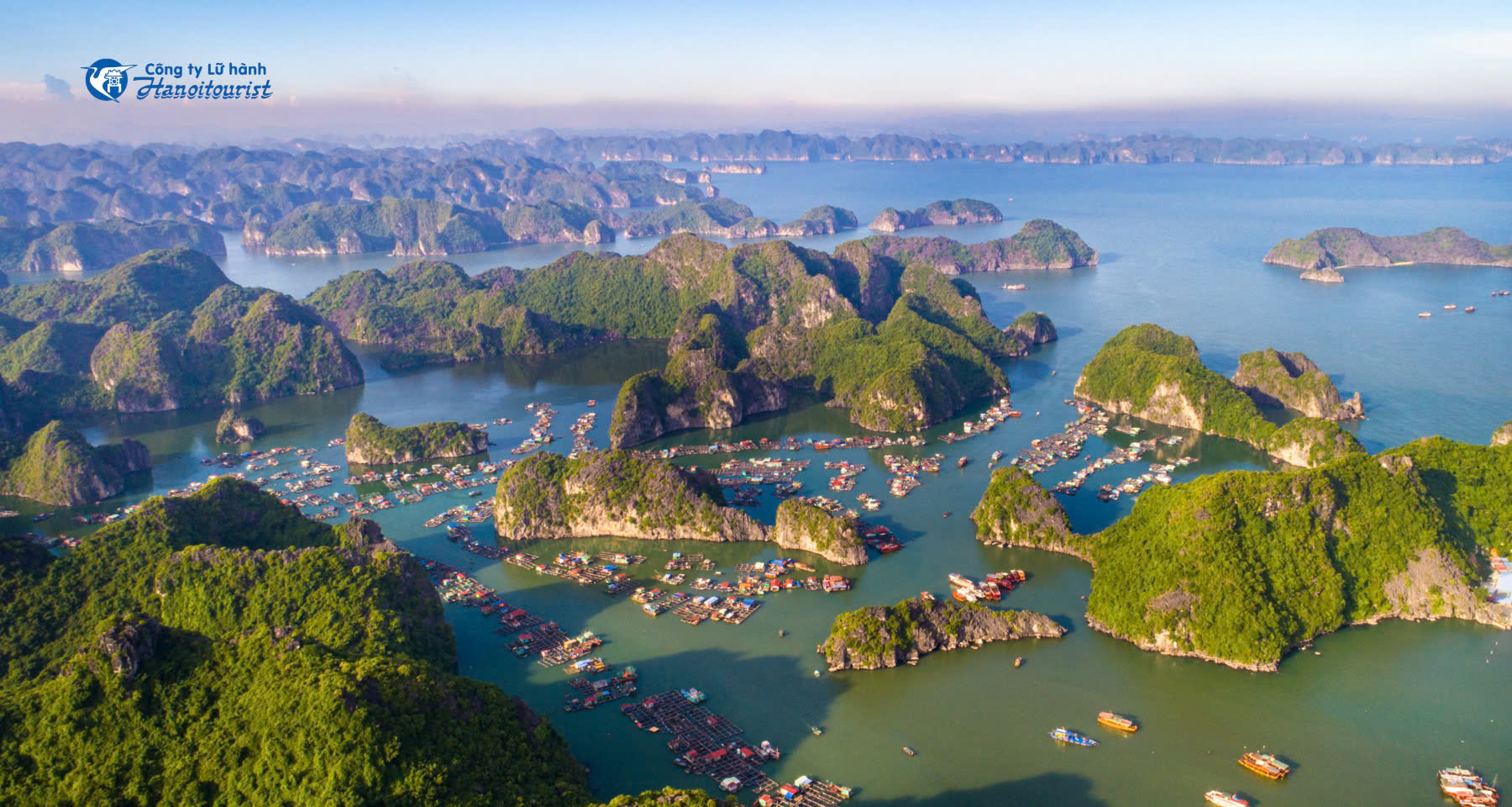 25459cc1041ebc40e50f